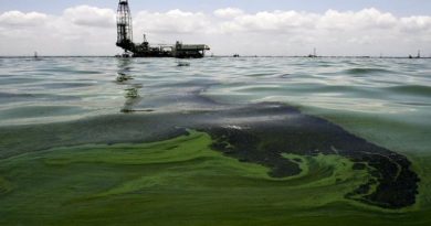 Recolectan más de 3.700 metros cúbicos de desechos sólidos en Lago de Maracaibo
