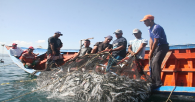 Pescadores y acuicultores de Sucre consolidan soberanía alimentaria del país