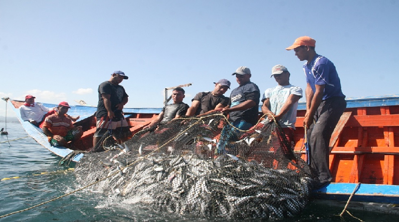 Pescadores y acuicultores de Sucre consolidan soberanía alimentaria del país