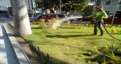 Siembra de plantas embellece espacios públicos en Monagas