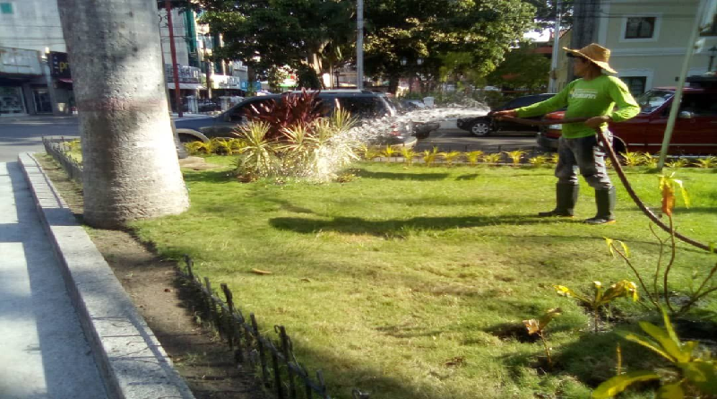 Siembra de plantas embellece espacios públicos en Monagas