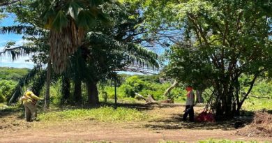 Aplican plan de recuperación integral en Jardín Botánico del Orinoco