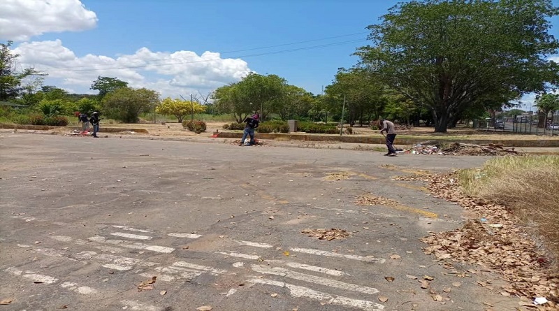 Aplican plan de recuperación integral en Jardín Botánico del Orinoco 