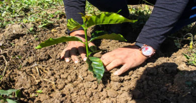 Implementan Plan Nacional de Reforestación en Yaracuy