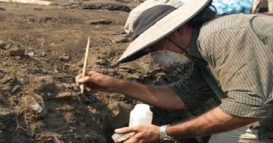 Mostrarán estudios venezolanos en Simposio de Investigación de Arqueología