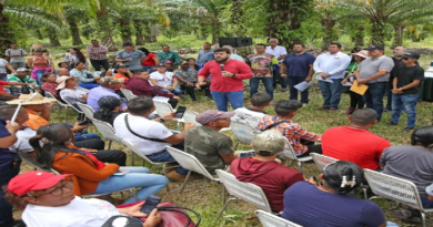 Entrega de títulos de tierra fortalece producción nacional