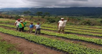 Comuna realiza restauración ecológica para proteger especies larenses