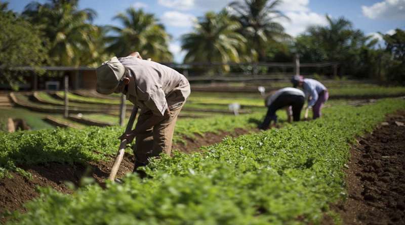 Propuestas para desarrollo agrícola impulsa Fundacite Trujillo