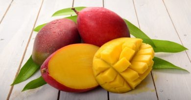 Fabrican cuero vegano a partir de pulpa de mangos desechados
