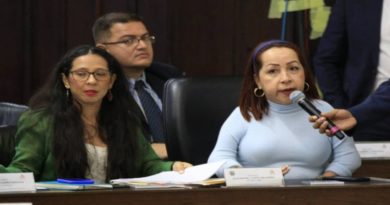 Aprobados 30 nuevos artículos de Ley Orgánica para personas con Discapacidad