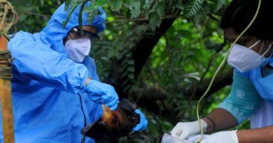 Virus letal reaparece en la India