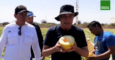 Más de 3.000 toneladas de frutas ha exportado Península de Paraguaná al Caribe