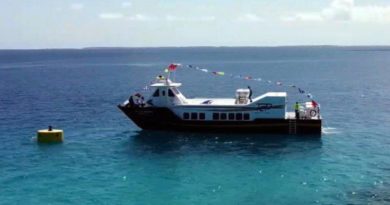 Unirán a La Guaira con Chichiriviche de la Costa con Transporte Acuático Público