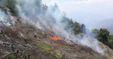 Comuna inicia proyecto para frenar la tala y quema de vegetación en Lagunillas