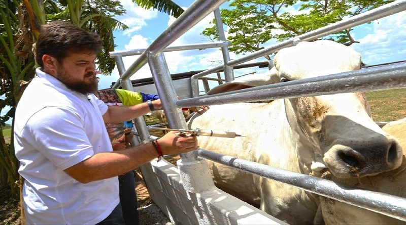 Autoridades piden a productores de Monagas sumarse a campaña contra fiebre aftosa