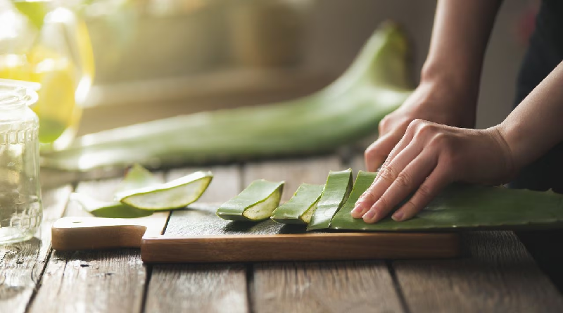 Conoce los beneficios que tiene el aloe vera para la salud