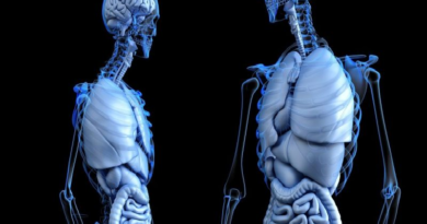 El “órgano olvidado” que podría prevenir el cáncer