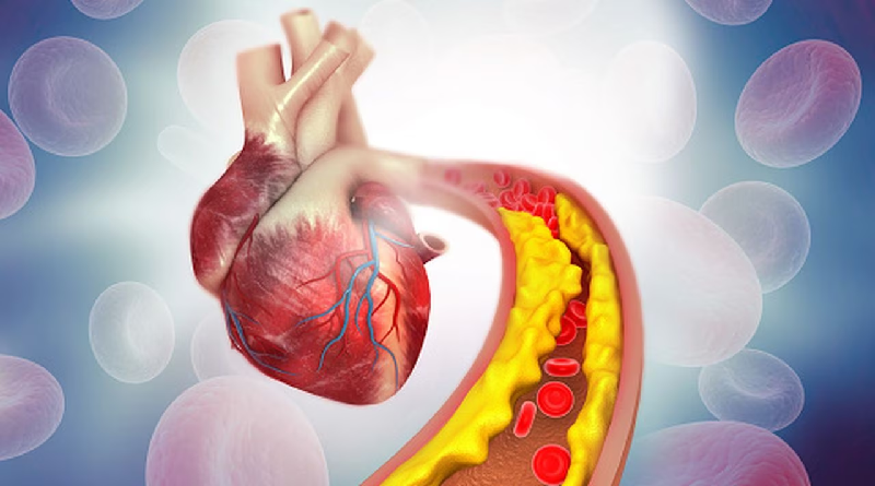 Consumir esta planta favorece la salud cardiovascular