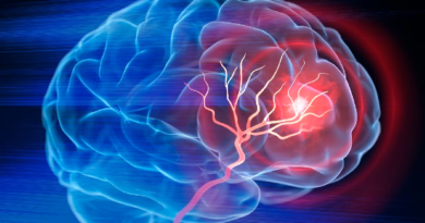Conoce las bebidas que ayudan a cuidar la salud del cerebro