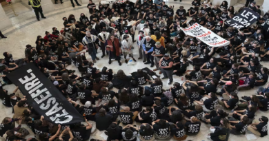 Manifestantes irrumpen en el Capitolio de EE. UU. Para exigir cese al fuego en Gaza