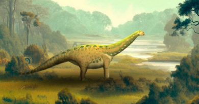 Científicos descubren nueva especie de dinosaurio