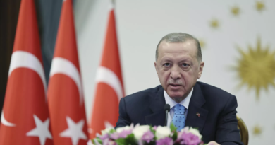 Presidente Erdogan presenta iniciativa para solucionar conflicto palestino-israelí