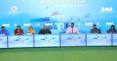 Gobierno activa Consejo Especial por la Paz para la protección integral del país