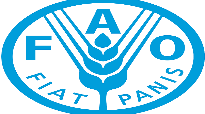 Se cumplen 78 años de fundación de la FAO