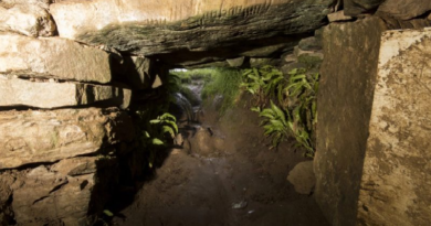 Conoce "La Cueva de Los Gatos" ubicada en Irlanda