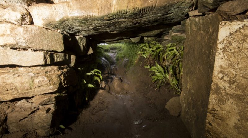 Conoce "La Cueva de Los Gatos" ubicada en Irlanda