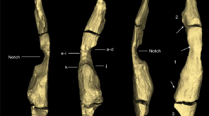Revelan misteriosa estructura más antigua que el Homo Sapiens