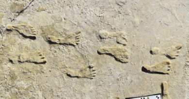Cómo las huellas antiguas reescribieron un capítulo de la historia humana temprana