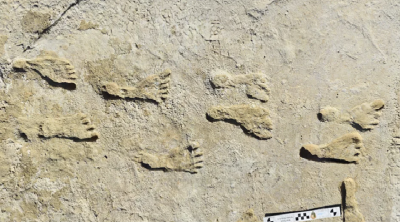 Cómo las huellas antiguas reescribieron un capítulo de la historia humana temprana