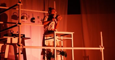 Presentan obra Malamadre en el Teatro Luis Peraza de Caracas