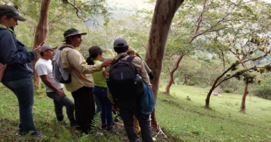 Desarrollan Encuentro Nacional para la Conservación del Oso Frontino 2023