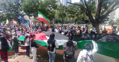 Marchan hasta sede de la ONU en apoyo a la causa palestina