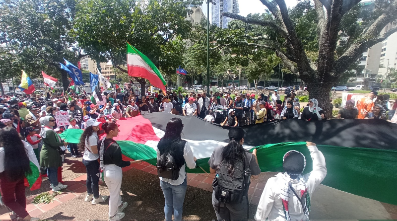 Marchan hasta sede de la ONU en apoyo a la causa palestina