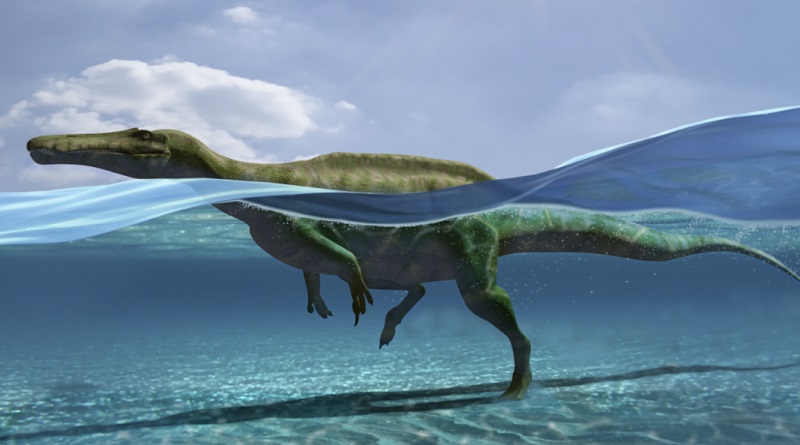 Encuentran 27 huellas de dinosaurios que sabían nadar