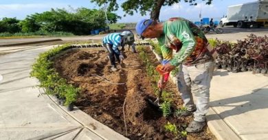 Avanza desarrollo de Plan Ciudad en Guárico