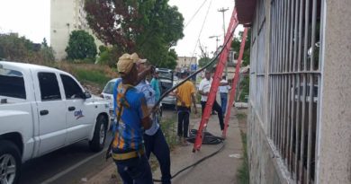 Recuperan redes de transmisión afectadas por hurto en Puerto Ordaz