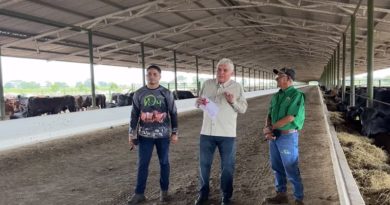 Agropecuaria Nuevo Desafío producen carne orgánica de alta calidad