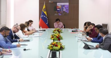 Evalúan avances de los vértices de la Gran Misión Venezuela Mujer