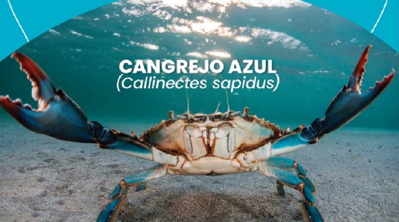 Culmina veda del Cangrejo Azul y Pepitona