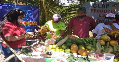 Familias de Sucre abastecidas con Ferias del Campo Soberano en Cumaná