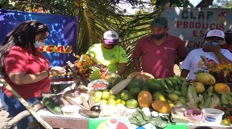 Familias de Sucre abastecidas con Ferias del Campo Soberano en Cumaná