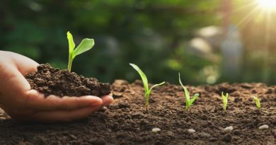 Comuna monaguense elabora bioinsumos para nutrir y regenerar suelo agrícola