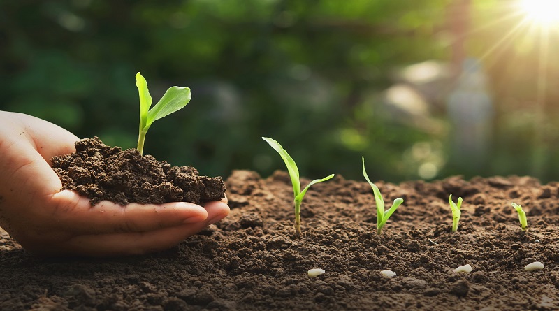 Comuna monaguense elabora bioinsumos para nutrir y regenerar suelo agrícola