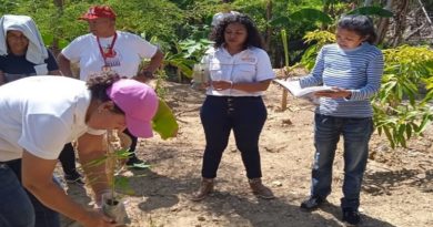 Plan de Abastecimiento Agrourbano se consolida en Falcón
