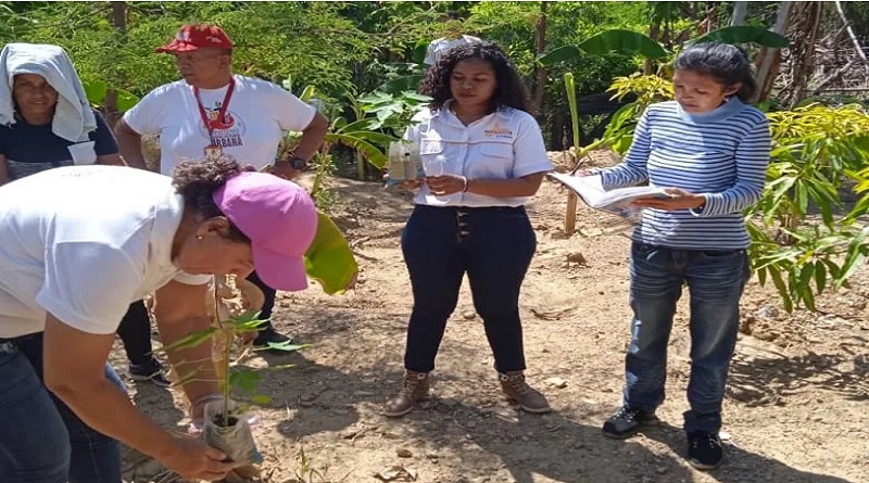 Plan de Abastecimiento Agrourbano se consolida en Falcón