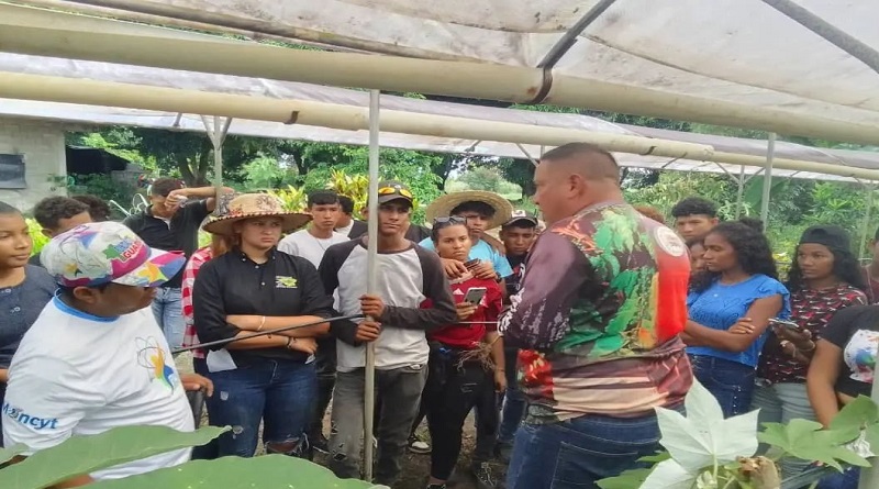 Realizan taller sobre encadenamiento productivo del café en Guárico